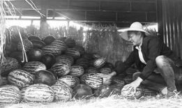 泗水吃瓜群众爆料后续事件,真相大白，事件再掀波澜