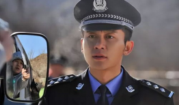 关于警察的电视剧,正义与勇气的较量