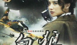 电视剧白狼演员表,实力派明星齐聚演绎传奇故事