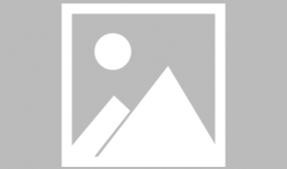 电视剧三大奖项