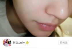 网红与明星手帐,揭秘他们的生活轨迹与创意灵感